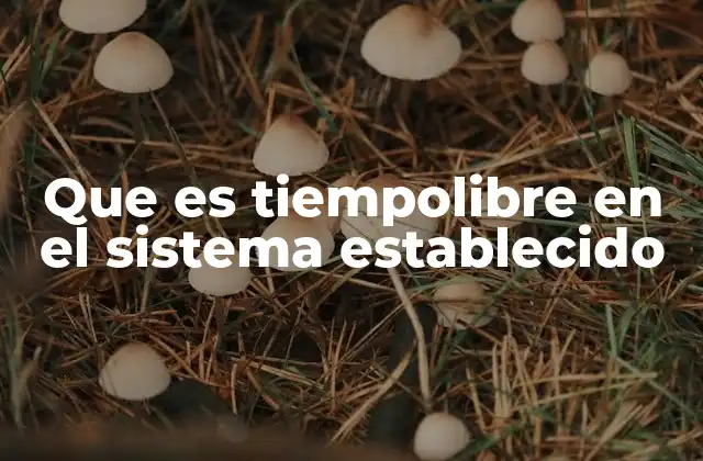 La importancia del equilibrio entre trabajo y ocio en la sociedad actual
