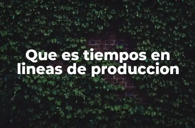 Que es Tiempos en Lineas de Produccion