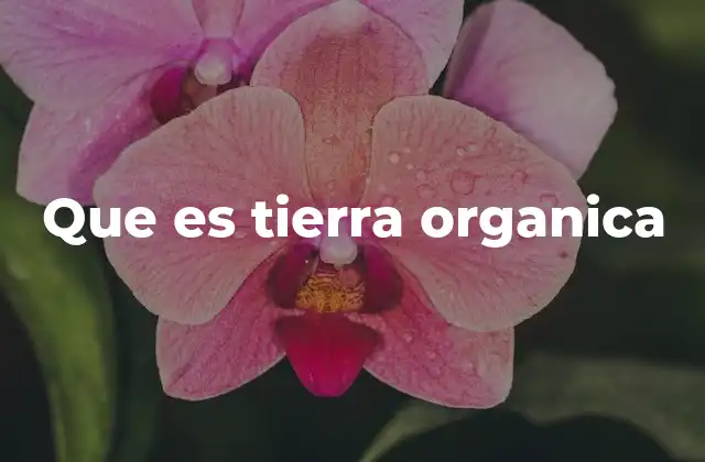 Que es Tierra Organica