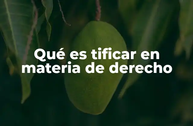 Qué es Tificar en Materia de Derecho