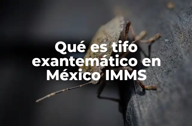 Qué es Tifo Exantemático en México Imms 2 Características del tifo exantemático en el contexto mexicano