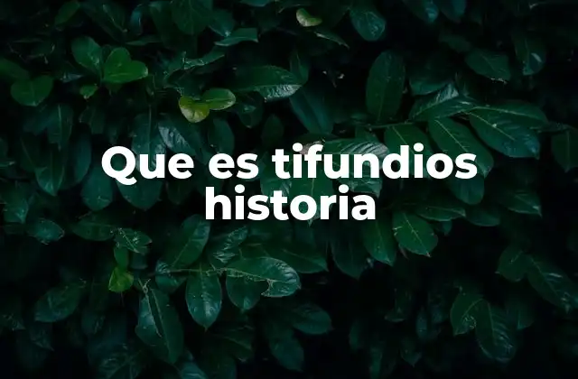 Que es Tifundios Historia
