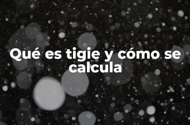 Qué es Tigie y Cómo Se Calcula