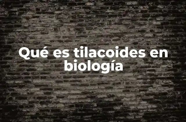 Qué es Tilacoides en Biología