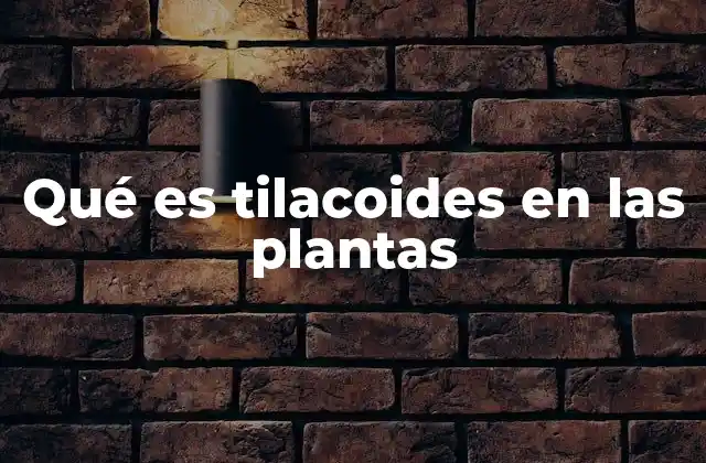 Estructura interna del cloroplasto y el rol del tilacoide