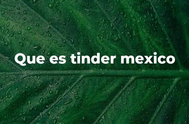 Que es Tinder Mexico