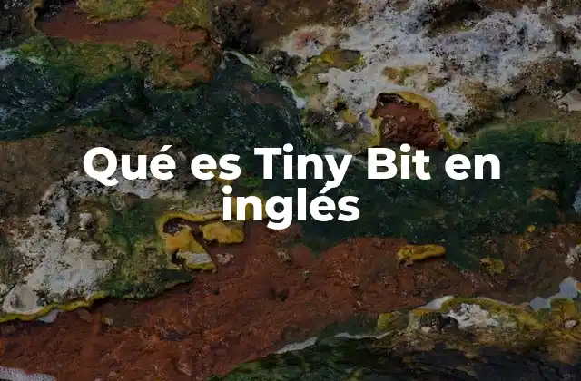 Qué es Tiny Bit en Inglés