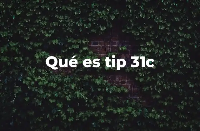 Qué es Tip 31c