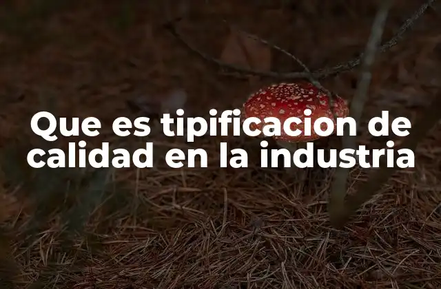 Que es Tipificacion de Calidad en la Industria