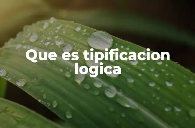 Que es Tipificacion Logica