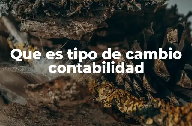 Que es Tipo de Cambio Contabilidad 2 El papel del tipo de cambio en la contabilidad internacional