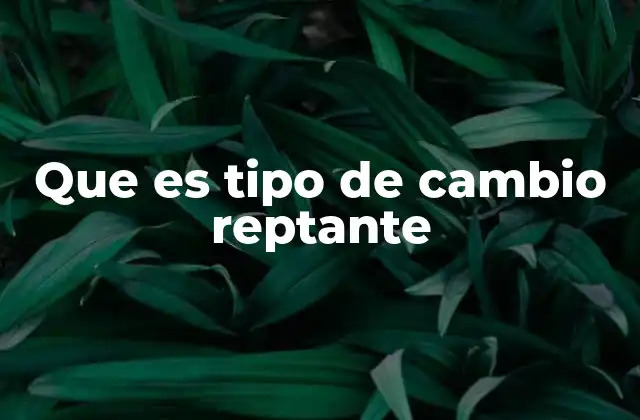 Que es Tipo de Cambio Reptante