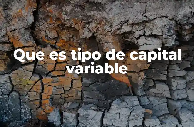 Que es Tipo de Capital Variable