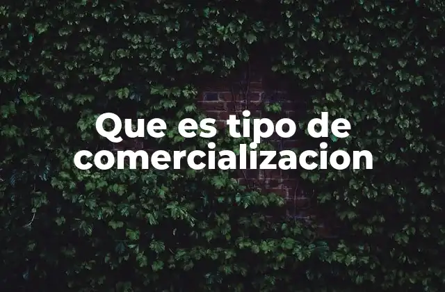 Que es Tipo de Comercializacion 2 Modelos de comercialización en el entorno moderno