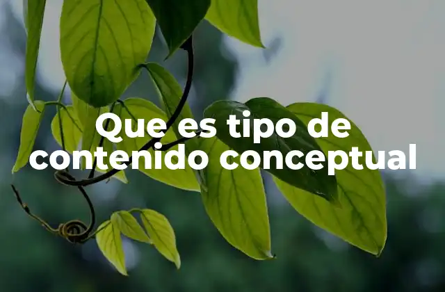 Que es Tipo de Contenido Conceptual