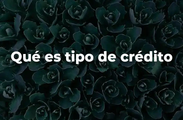 Qué es Tipo de Crédito