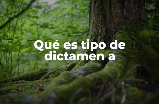 Qué es Tipo de Dictamen a