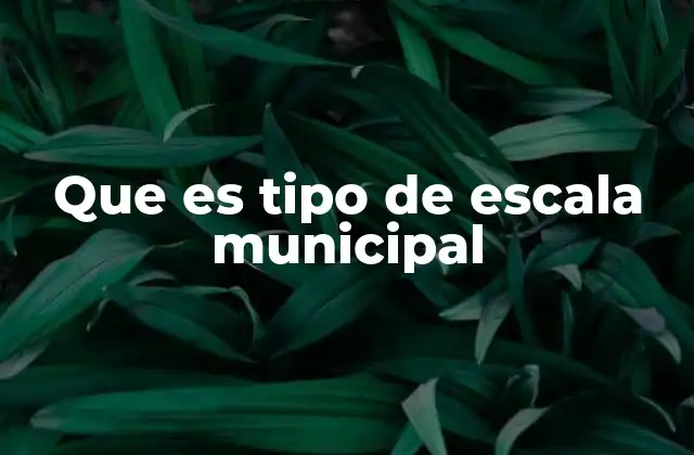 Que es Tipo de Escala Municipal