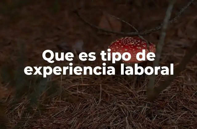 Que es Tipo de Experiencia Laboral