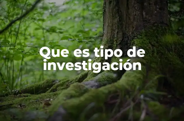 Que es Tipo de Investigación