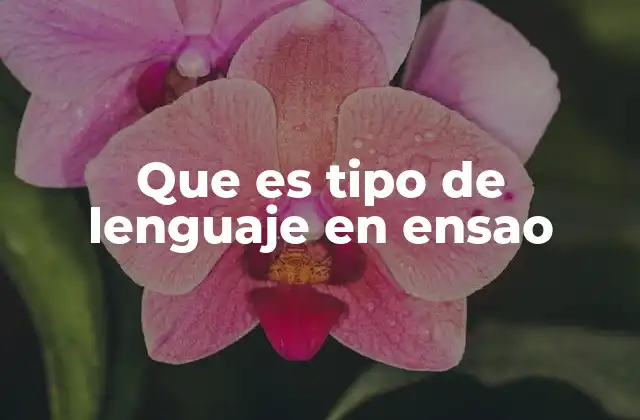 Que es Tipo de Lenguaje en Ensao