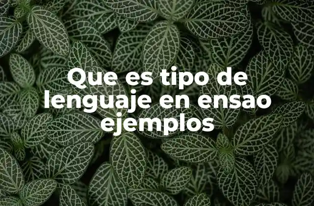 Que es Tipo de Lenguaje en Ensao Ejemplos