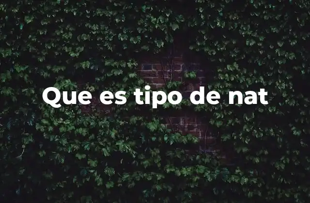 Cómo se identifica el tipo de nat en la natación