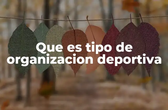 Que es Tipo de Organizacion Deportiva