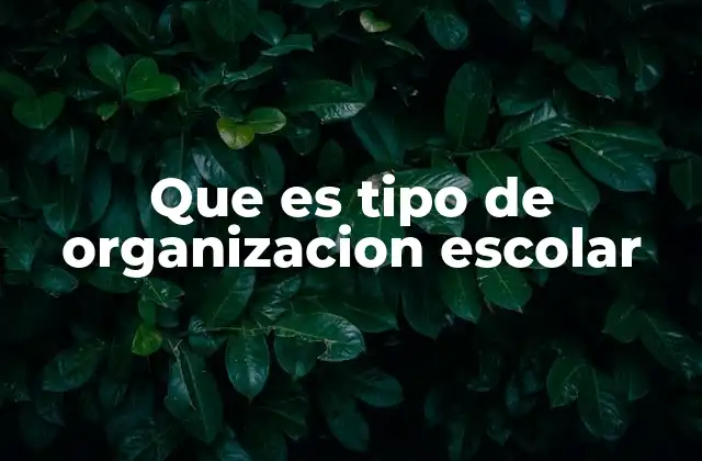 Cómo se estructura una organización escolar moderna
