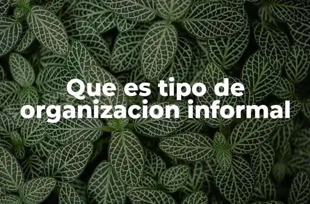 Que es Tipo de Organizacion Informal