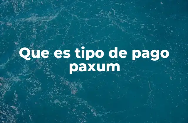 Cómo funciona el sistema de pagos Paxum