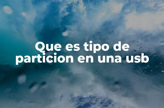 Que es Tipo de Particion en una Usb