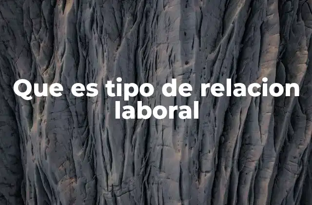 Que es Tipo de Relacion Laboral