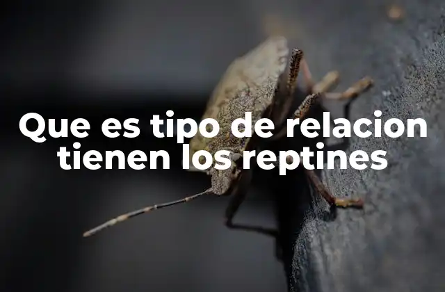 Que es Tipo de Relacion Tienen los Reptines 2 Las dinámicas sociales en los reptiles