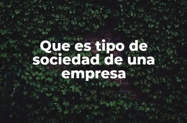 Que es Tipo de Sociedad de una Empresa
