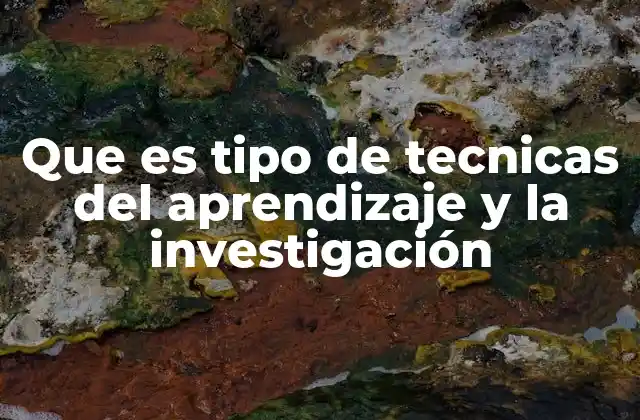 Que es Tipo de Tecnicas Del Aprendizaje y la Investigación