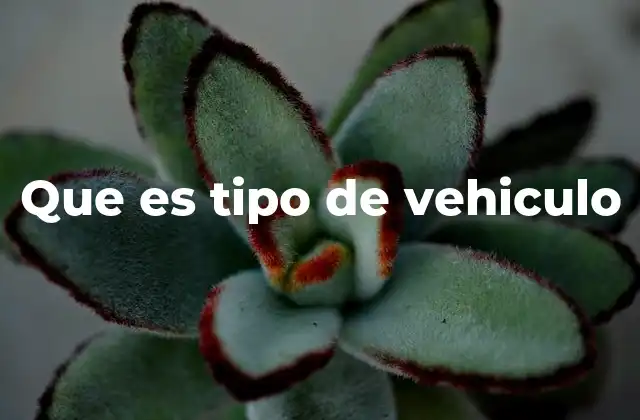 Que es Tipo de Vehiculo