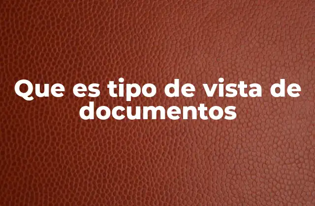 Que es Tipo de Vista de Documentos