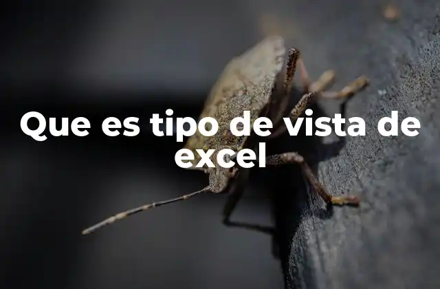 Cómo las vistas mejoran la experiencia del usuario en Excel