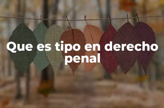 Que es Tipo en Derecho Penal