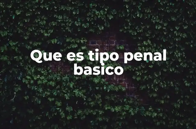 Que es Tipo Penal Basico