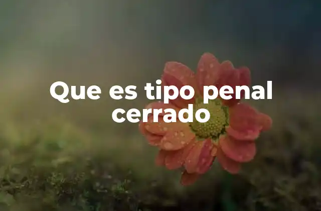 Que es Tipo Penal Cerrado 2 La importancia del tipo penal cerrado en el derecho penal