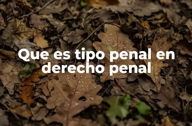 Que es Tipo Penal en Derecho Penal