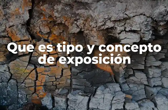 Que es Tipo y Concepto de Exposición