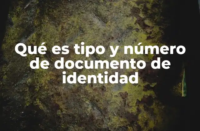 Cómo se clasifica el tipo de documento de identidad