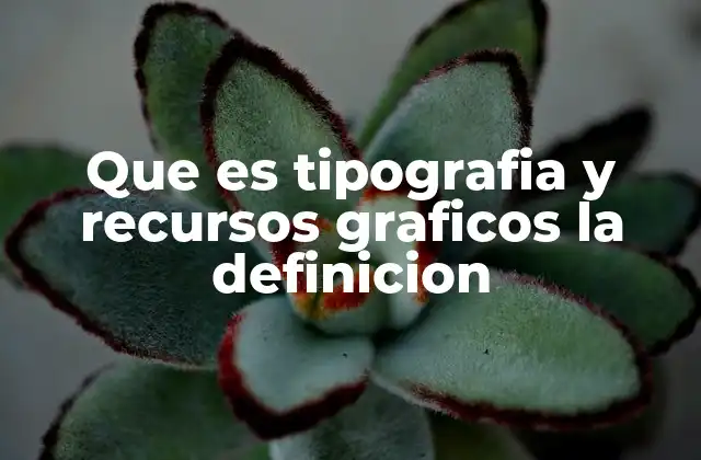 Que es Tipografia y Recursos Graficos la Definicion