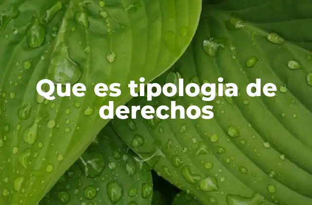 Que es Tipologia de Derechos