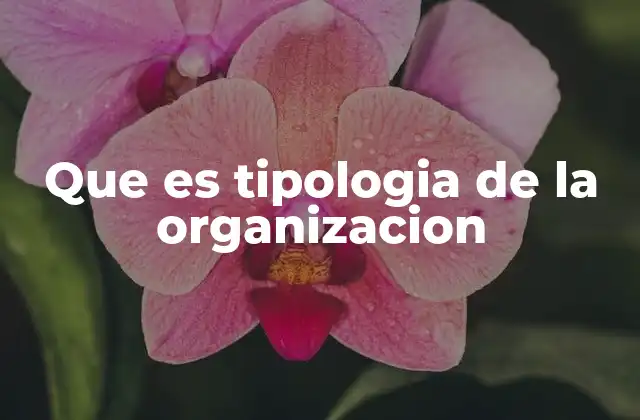 Clasificación de las organizaciones según su estructura y propósito
