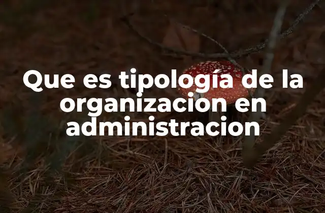 Que es Tipología de la Organizacion en Administracion