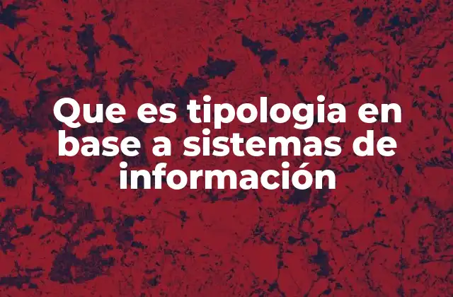 Que es Tipologia en Base a Sistemas de Información